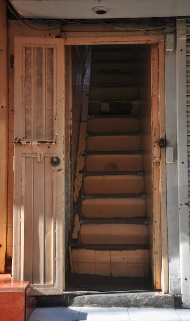 A view through a dark, sheltered passageway or underground parking area showing a set of outdoor concrete stairs leading up to a residential outdoor space. The stairs are uneven and partially worn, with some dirt and minor cracks visible on their surface. At the top of the stairs, there is a small landing with planters containing green foliage and a couple of small plants. Beyond the stairs, a narrow pathway is visible, flanked by a brick wall on one side and a beige plastered wall with a gate on the other, leading to a garden area with trees and shrubs. The surrounding environment appears to be part of a residential property in Kensington, with natural light illuminating the outdoor space. This setting illustrates the typical staircase and doorway challenges encountered during home relocation or furniture transport, as addressed by Man with Van Kensington's removals services.